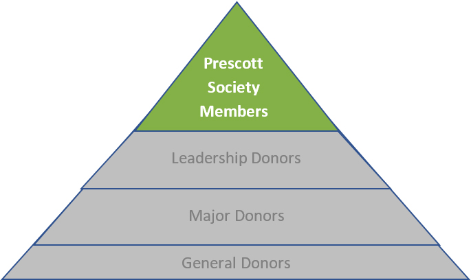 pyramid image of the hierarchy of donors
